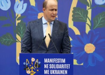 Manifestim solidariteti për Ukrainën/ David Wisner: Shqipëria ka qenë partner fenomenal i popullit ukrainas dhe SHBA