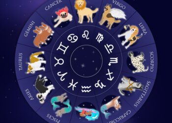 Gjëra të rëndësishme do të ndodhin në këto data të shkurtit, kështu që mos i humbisni!