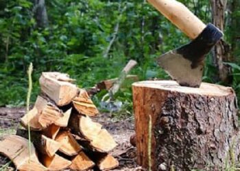 Shkoi për të prerë dru në mal, gjendet i vdekur 67-vjeçari në Maliq