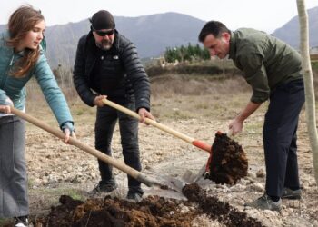 Alket Islami mbjell pemë krah Veliajt në Farkë