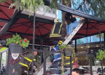 Veprimi dyshues i shoqeve/ U hodh nga dritarja e hotelit pas sherrit, vajza nga Venezuela merret në hetim