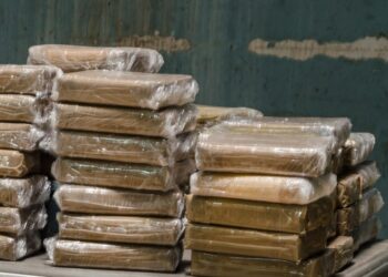 Kapet kokainë me vlerë 10 milionë euro në Slloveni, arrestohet një shqiptar dhe një brazilian