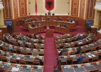 Parlamenti miraton dy komisionet hetimore, Braçe abstenon për Shëndetësinë, Petro Koçi për TIMS-in