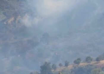 Zjarri në Peshtan të Fierit, policia shoqëron në komisariat dy bashkëshortët