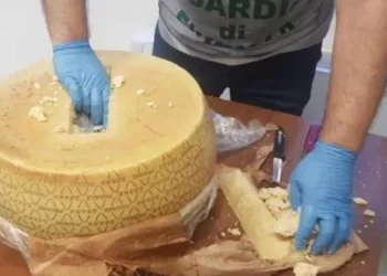 Emrat/ Trafikuan 25 kg kokainë përmes rrotave të kaçkavallit, mbi 70 vite burg për bandën: Kush është “truri” shqiptar i organizatës