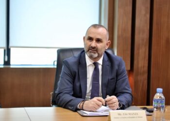 Drafti për Drejtësinë, Manja: Digjitalizim i sistemit gjyqësor me qëllim përmirësimin e qasjes në drejtësi