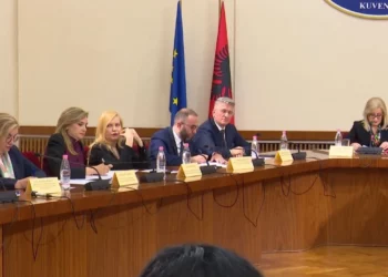 Pakti me PS, deputetët demokratë kritika Bardhit: Opozita fitoi gjëra jothelbësore