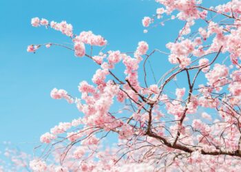 Shenjat e horoskopit që do të kenë një prill të mrekullueshëm