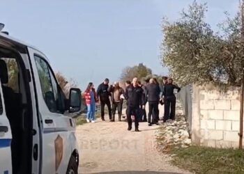 Konflikti për pronën/ 70-vjeçari ndërron jetë pas plumbit në kokë që mori nga i vëllai