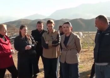 Zhvillimi i vreshtarisë në Klos, Balluku: Shumë shpejt do kemi një brand të ri shqiptar