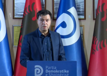 Pakti mes PS dhe Rithemelimit, Basha nga Lushnja: Pazar për karriget dhe interesat personale