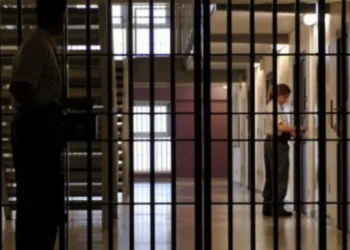 Emri/ Shqiptari kthen ish-redaksinë e gazetës në shtëpi bari në Angli, gjykata kërkon që dënimin ta kryejë në Shqipëri