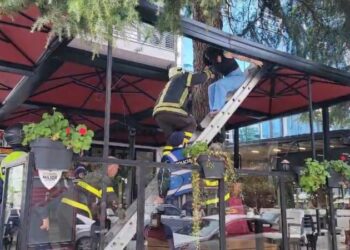 Zbardhet pas 20 ditësh sherri në mes të Durrësit, 5 vajza të huaja shfrytëzoheshin për prostitucion