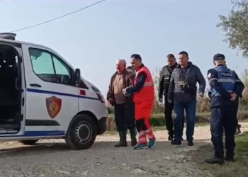 Vrau vëllanë/ Zbardhet dëshmia e Nazif Musait: Më preu rrugën dhe më qëlloi me sëpatë