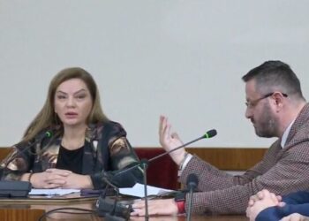 Debat me tone të larta në komisionin për Shëndetësinë/ Vokshi: Këtu ka një kryetar! Ndreca: Ju jeni spikere