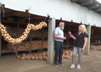 Fermeri nga Shkodra: Kam shitur 24 ton qepë vetëm përmes Facebook-ut