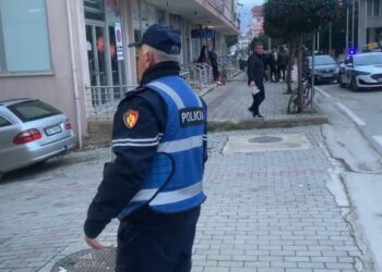 Plagosja në Pogradec, Policia arreston dy autorët (EMRAT)