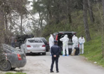 Tragjike/ Me pranga në dorë e kokën e mbuluar me qese mbeturinash, zbulohet misteri i vrasjes së 50-vjeçarit! Gjendet një letër pranë trupit