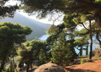 FOTOT/ “Është unik në botë”, historia e panjohur e Sazanit: A do vazhdojë të mbetet një tokë e ndaluar për shqiptarët?