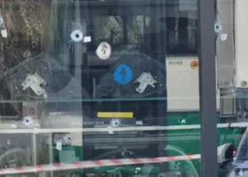 Ngjarja në Shijak/ I plagosuri u gjet në vendin e gabuar, s’ishte ai shenjestra! Autori shkoi për t’u sqaruar me pronarin e biznesit