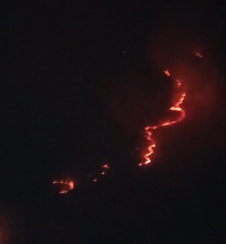 FOTO/Zjarr në Niçë të Pogradecit, Bashkia: Zjarrfikës e banorë po punojnë në kushte aspak të favorshme për shuarjen e flakëve