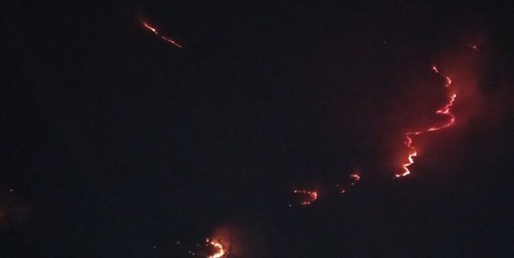 FOTO/Zjarr në Niçë të Pogradecit, Bashkia: Zjarrfikës e banorë po punojnë në kushte aspak të favorshme për shuarjen e flakëve