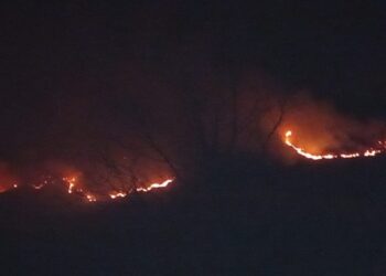 FOTO/Zjarr në Niçë të Pogradecit, Bashkia: Zjarrfikës e banorë po punojnë në kushte aspak të favorshme për shuarjen e flakëve