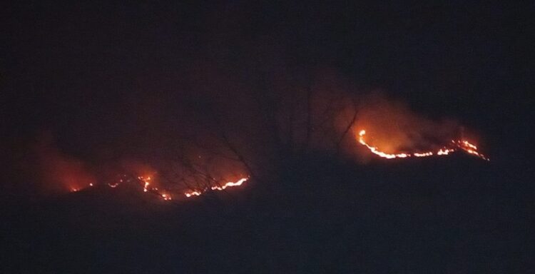 FOTO/Zjarr në Niçë të Pogradecit, Bashkia: Zjarrfikës e banorë po punojnë në kushte aspak të favorshme për shuarjen e flakëve