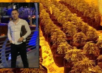 “Shtëpi bari” në stan, gjykata liron vëllanë e deputetit të PS, dy të tjerët mbeten në burg