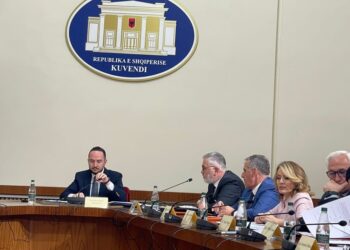 “TIMS”/ Qefalia përplaset me Salianjin: A e keni seriozisht këtë punë? Deputeti i Berishës: Do shikoni spektakël të zi!