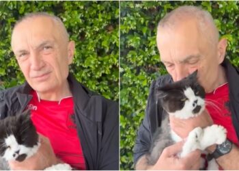 VIDEO/ Me macen në krahë, Meta u bën thirrje qytetarëve të bashkohen në Konventën Kombëtare të Partisë së Lirisë