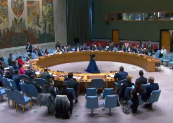 Shefja e UNMIK-ut në Këshillin e Sigurimit, keqardhje që serbët bojkotuan votimin në veri: Pak përparim në normalizimin e marrëdhënieve Prishtinë-Beograd