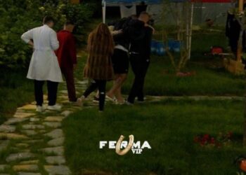 ‘Ferma VIP’/ Florian Agalliu dërgohet në spital me ambulancë: Çfarë ndodhi në fermë?