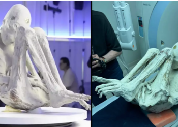 Ufologu që testoi ADN-në e ‘mumjeve aliene’ thotë se zbulimi i tij ‘ndryshon kursin e historisë’