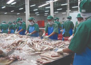 Miratohet Garancia Shtetërore, 4 miliardë lekë për sektorin e industrisë përpunuese