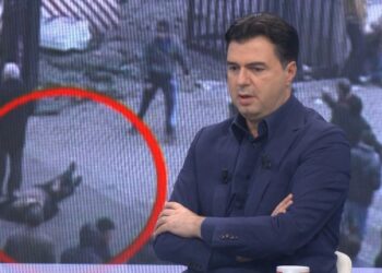 Në takimin me Blinken mungoi, Basha: Komunikoj çdo javë me përfaqësuesit amerikanë në Tiranë dhe interlokutorët në SHBA
