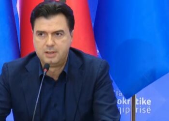 Basha, i shqetësuar në konferencë për shtyp: Jemi para përpjekjeve tinëzare për struktura paralele