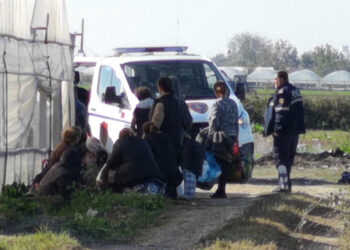 Emrat/ Kultivimi i bimëve narkotike, caktohet arrest me burg për 9 persona nën hetim: Çfarë zbuluan hetimet e SPAK