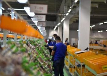 INSTAT: Ekonomia u rrit me 3.44 % gjatë vitit 2023