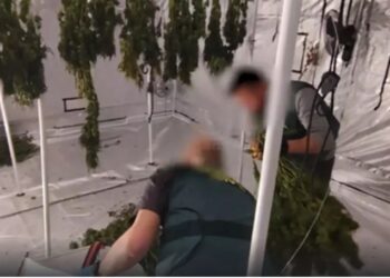 Goditet grupi kriminal shqiptaro- kubanez në Spanjë: Sekuestrohet 1 ton kanabis, si e kishin fshehur drogën në shtëpi plazhi