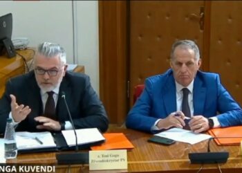 ‘Këtu sundon prova’, Gogu-Salianjit: Dy parimet që PS nuk i neglizhon te komisioni për “TIMS”