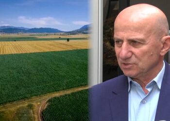 Afati mbyllet nesër, 66 mijë fermerë aplikuan për subvencione! Zv. ministri: Fondet shpërndahen pas verifikimit në terren