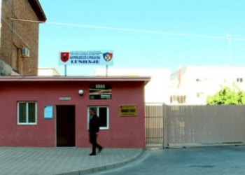 Emri/ Ngjarja e rëndë: 29-vjeçarja nga Lushnja rreh vjehrrin, dyshohet se…!