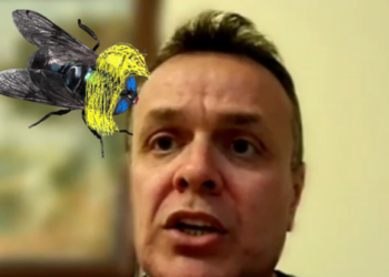 Eksperti i kriminalistikës: “Mizat” përgjuese në Shqipëri, janë minidronë që fluturojnë për 2 orë!