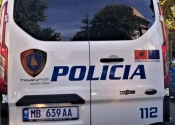 EMRAT/ Shkatërrohet grupi kriminal: Kush janë 17 personat që u arrestuan për trafikim të emigrantëve, mes tyre një grua