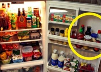 Kujdes! Këto ushqime duhet t’i largoni urgjentisht nga frigoriferi