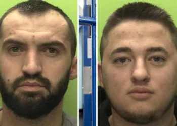 Emrat/ U kapën në çatinë e mbjellë me 600 rrënjë kanabis, dënohen dy shqiptarët në Angli