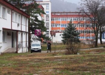 Tragjike/ Një ditë më parë djali vrau nusen, ndërron jetë nëna e autorit