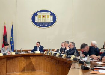 Komisioni për TIMS, Gogu: Mbledhja e sotme është vazhdim i së kaluarës, nuk mund të ketë vendime të njëanshme