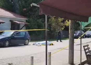 Vritet me armë efektivi i ‘Shqiponjave’ në Fier, Policia: Po shkonte për të marrë shërbimin!